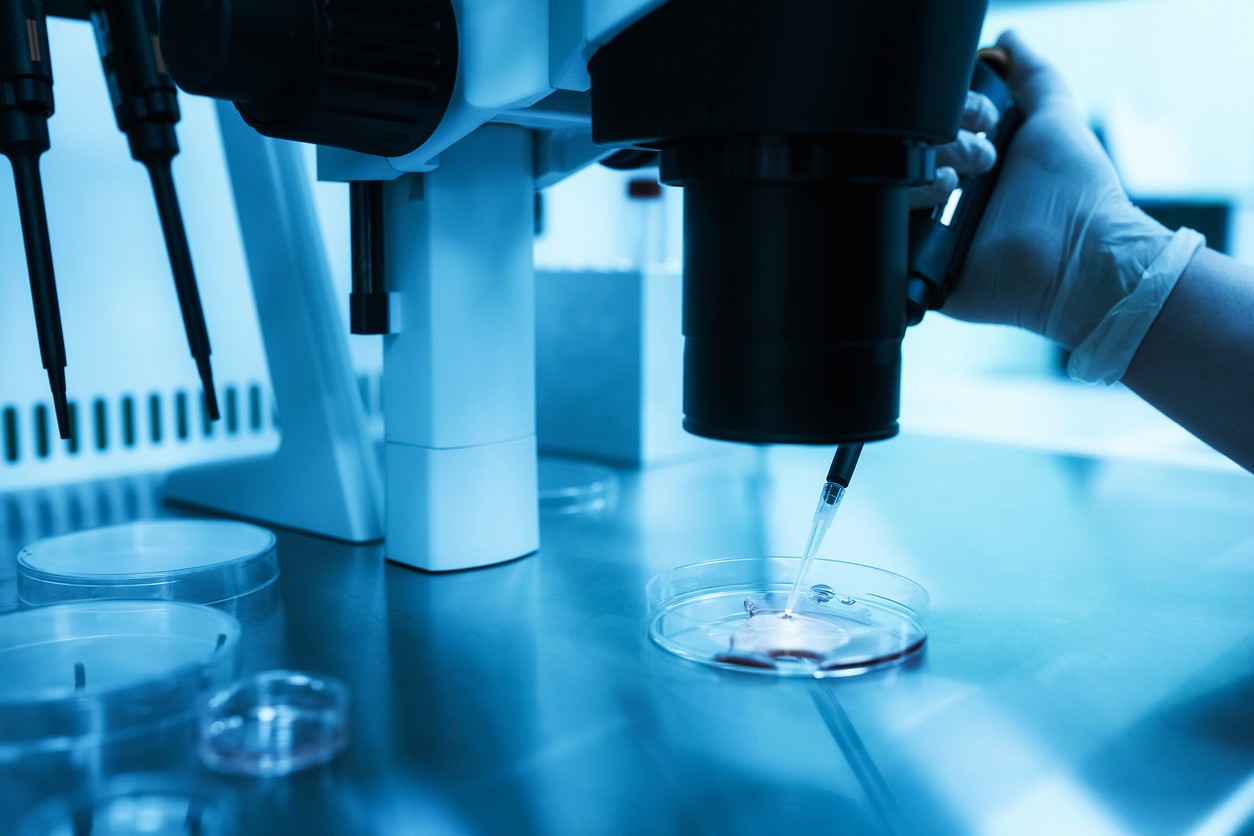 Sperm morphology: What sperm shape means for male fertility
