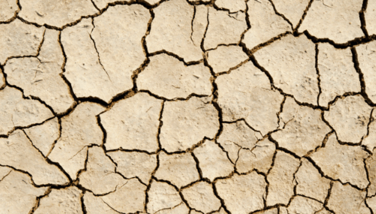 Ask the Doc: Why do I have dry skin on my penis?