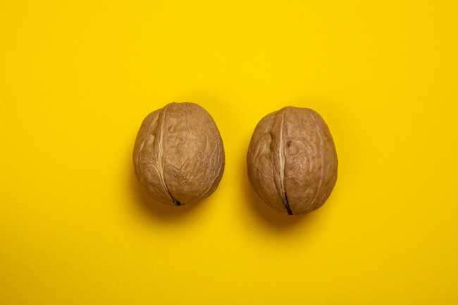 two walnuts on a yellow background